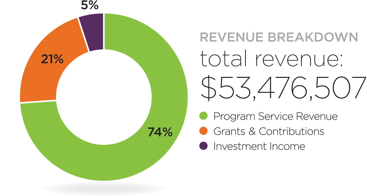 2020 Revenue Breakdown Chart