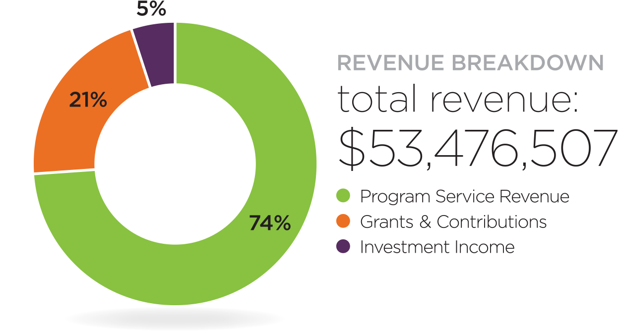 2020 Revenue Breakdown Chart